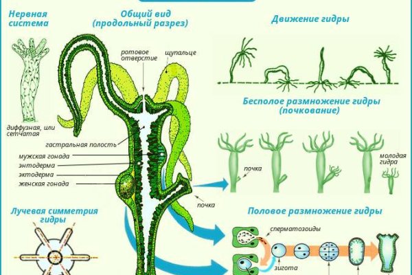 Сайт кракен официальный ссылка onion