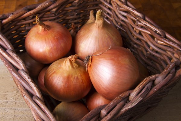 Http krmp.cc onion сайт