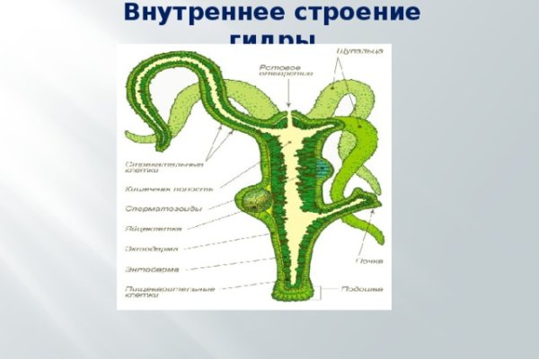 Kraken ссылка onion 2kmp